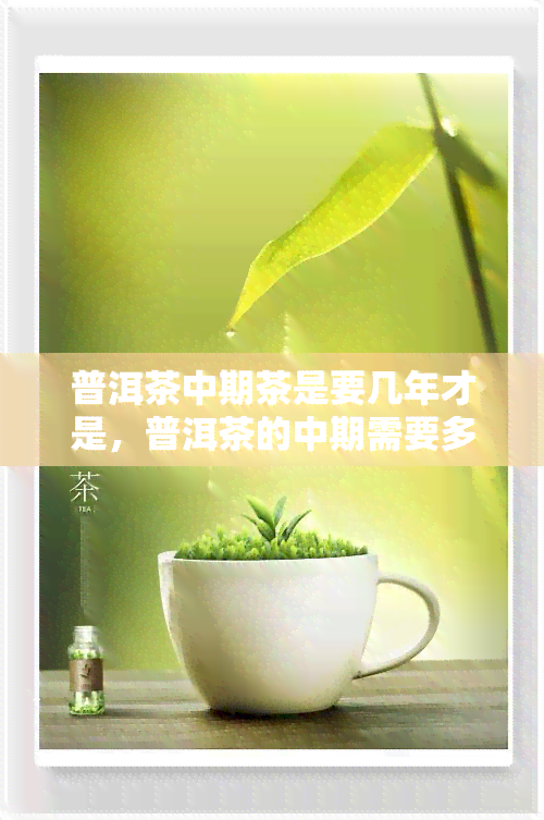 普洱茶中期茶是要几年才是，普洱茶的中期需要多久才能达到品质？