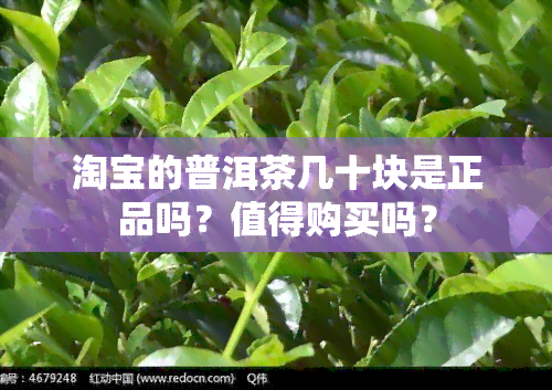 淘宝的普洱茶几十块是正品吗？值得购买吗？