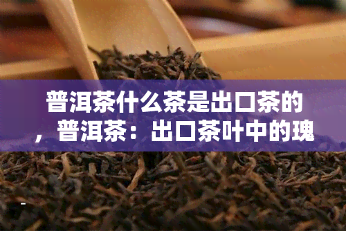 普洱茶什么茶是出口茶的，普洱茶：出口茶叶中的瑰宝