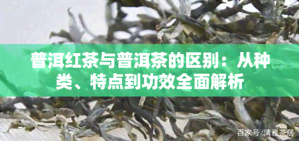 普洱红茶与普洱茶的区别：从种类、特点到功效全面解析