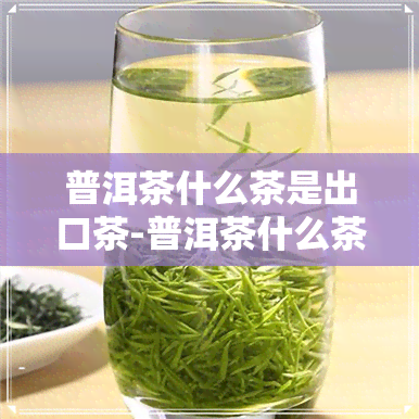 普洱茶什么茶是出口茶-普洱茶什么茶是出口茶的