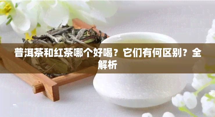 普洱茶和红茶哪个好喝？它们有何区别？全解析