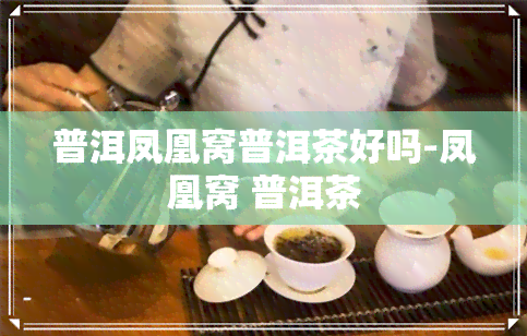 普洱凤凰窝普洱茶好吗-凤凰窝 普洱茶