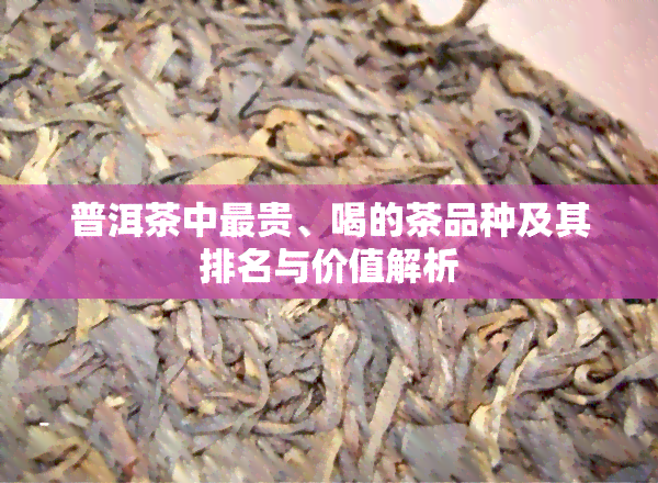 普洱茶中最贵、喝的茶品种及其排名与价值解析