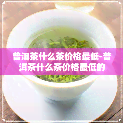 普洱茶什么茶价格更低-普洱茶什么茶价格更低的