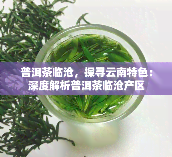 普洱茶临沧，探寻云南特色：深度解析普洱茶临沧产区