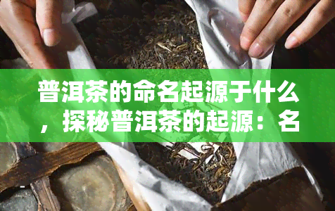 普洱茶的命名起源于什么，探秘普洱茶的起源：名字由来及其历背景