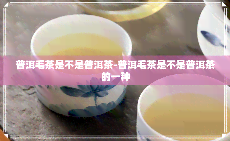 普洱毛茶是不是普洱茶-普洱毛茶是不是普洱茶的一种