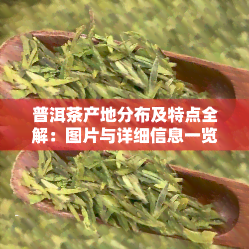 普洱茶产地分布及特点全解：图片与详细信息一览