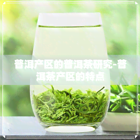 普洱产区的普洱茶研究-普洱茶产区的特点