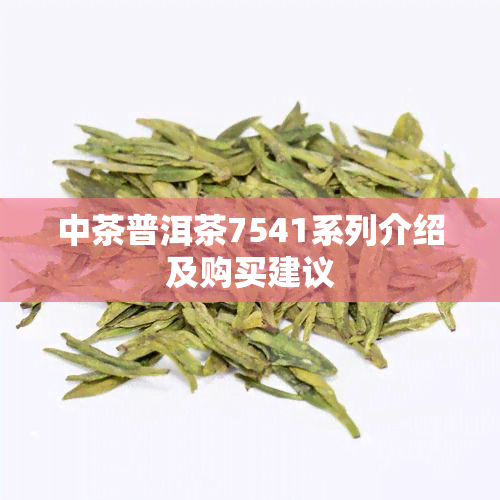 中茶普洱茶7541系列介绍及购买建议