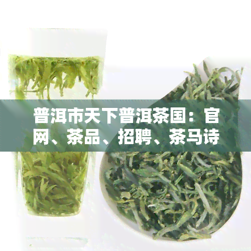 普洱市天下普洱茶国：官网、茶品、招聘、茶马诗、普洱人家及普洱茶价格一网打尽！