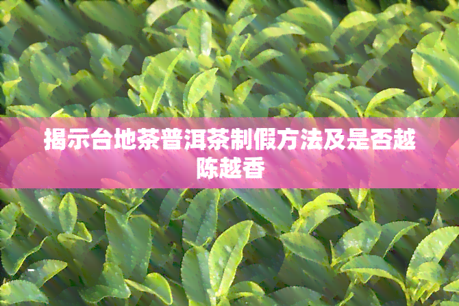 揭示台地茶普洱茶制假方法及是否越陈越香