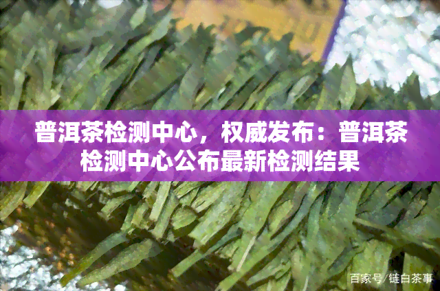 普洱茶检测中心，权威发布：普洱茶检测中心公布最新检测结果