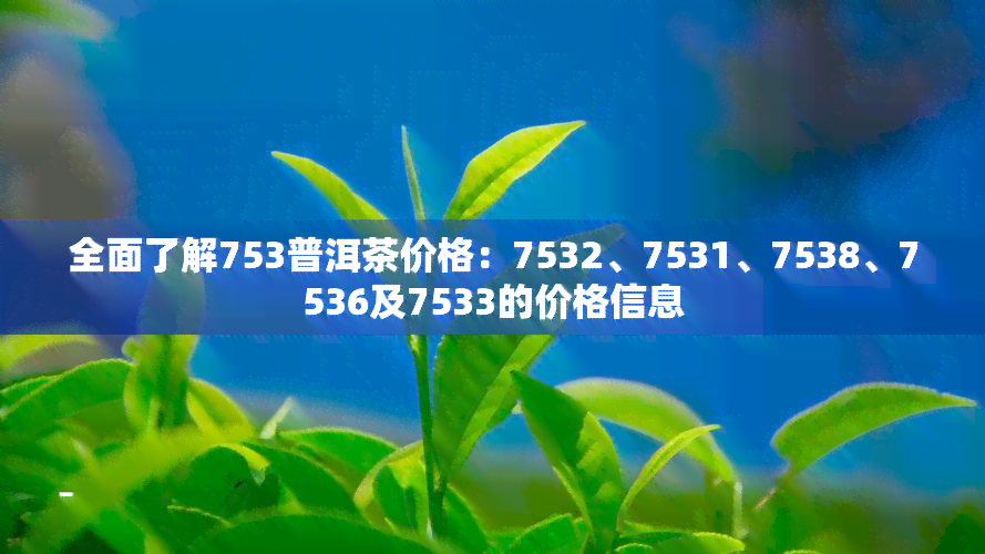 全面了解753普洱茶价格：7532、7531、7538、7536及7533的价格信息