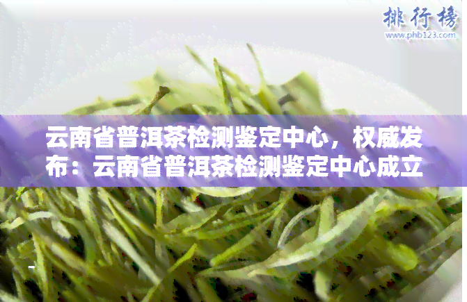 云南省普洱茶检测鉴定中心，权威发布：云南省普洱茶检测鉴定中心成立，推动行业健发展！