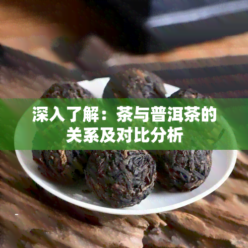 深入了解：茶与普洱茶的关系及对比分析