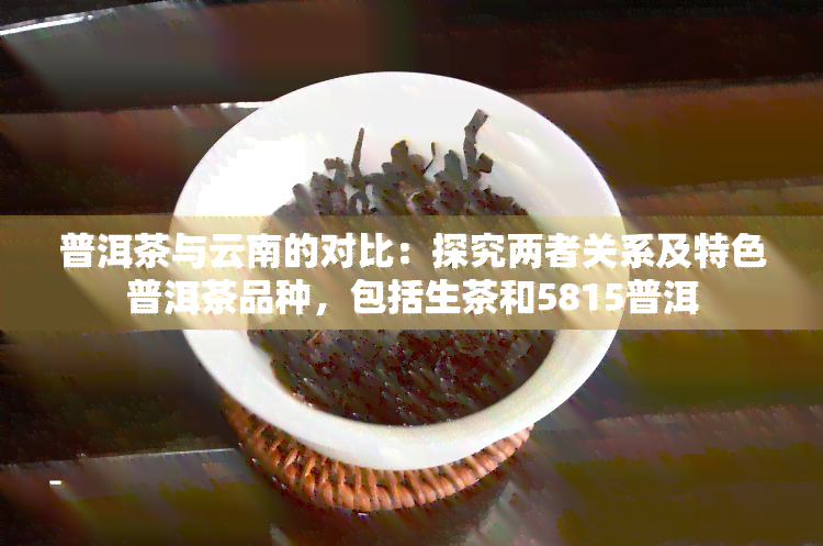 普洱茶与云南的对比：探究两者关系及特色普洱茶品种，包括生茶和5815普洱