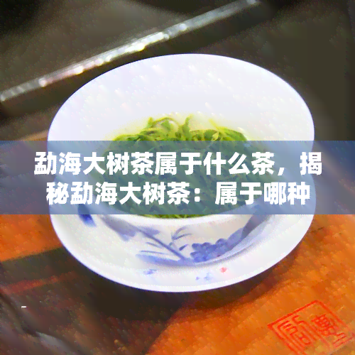 勐海大树茶属于什么茶，揭秘勐海大树茶：属于哪种类型的茶叶？