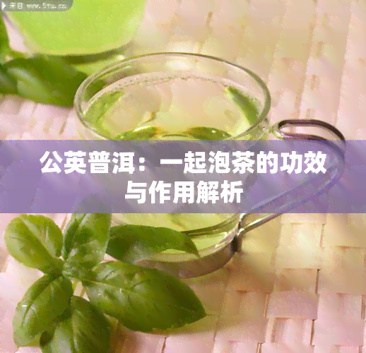 公英普洱：一起泡茶的功效与作用解析