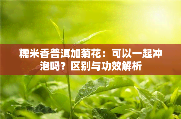 糯米香普洱加菊花：可以一起冲泡吗？区别与功效解析