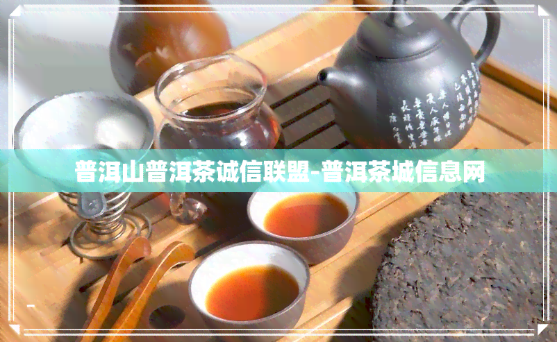 普洱山普洱茶诚信联盟-普洱茶城信息网