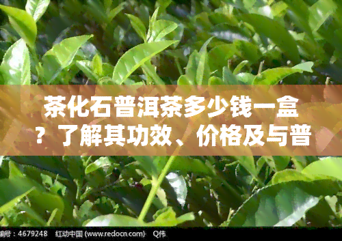 茶化石普洱茶多少钱一盒？了解其功效、价格及与普通普洱茶的差异