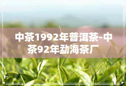 中茶1992年普洱茶-中茶92年勐海茶厂