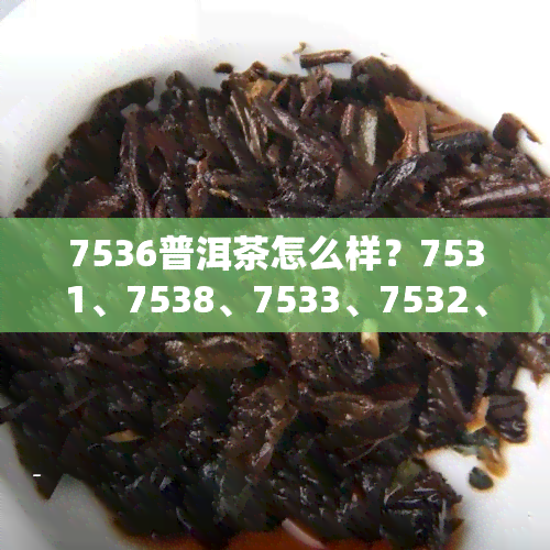 7536普洱茶怎么样？7531、7538、7533、7532、753普洱茶价格一览表