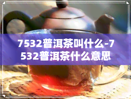 7532普洱茶叫什么-7532普洱茶什么意思