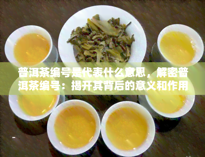 普洱茶编号是代表什么意思，解密普洱茶编号：揭开其背后的意义和作用