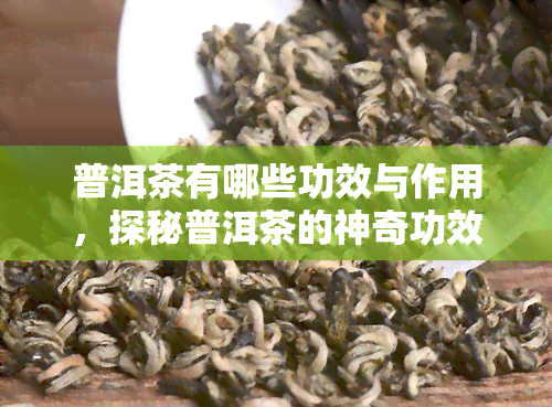 普洱茶有哪些功效与作用，探秘普洱茶的神奇功效与作用