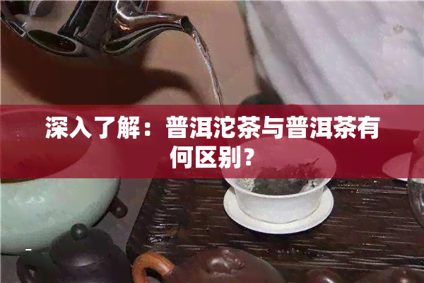 深入了解：普洱沱茶与普洱茶有何区别？