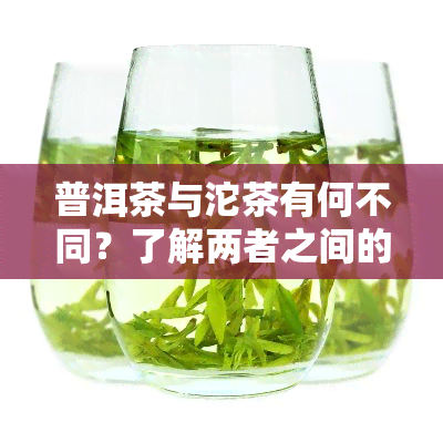 普洱茶与沱茶有何不同？了解两者之间的区别和特点