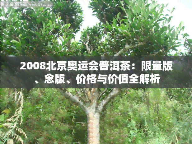 2008北京奥运会普洱茶：限量版、念版、价格与价值全解析