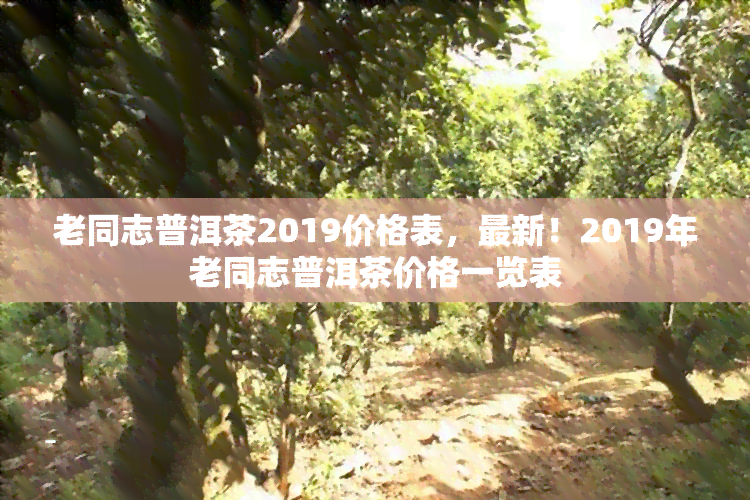 老同志普洱茶2019价格表，最新！2019年老同志普洱茶价格一览表