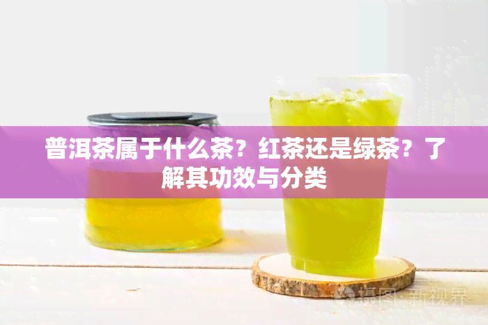 普洱茶属于什么茶？红茶还是绿茶？了解其功效与分类