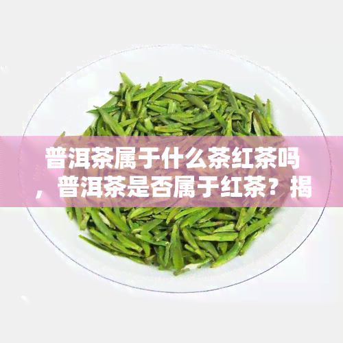 普洱茶属于什么茶红茶吗，普洱茶是否属于红茶？揭开其分类之谜