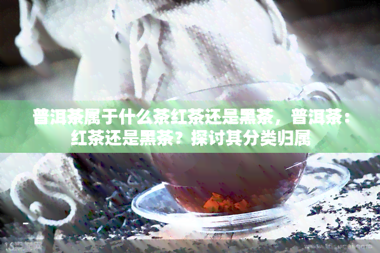 普洱茶属于什么茶红茶还是黑茶，普洱茶：红茶还是黑茶？探讨其分类归属