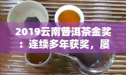 2019云南普洱茶金奖：连续多年获奖，屡获殊荣，品质越，备受推崇