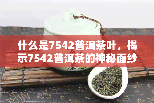 什么是7542普洱茶叶，揭示7542普洱茶的神秘面纱：你不知道的所有信息！