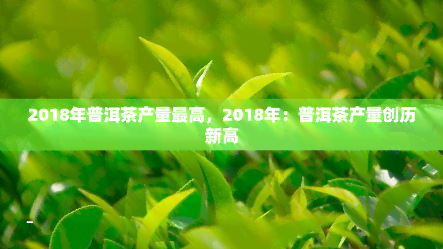 2018年普洱茶产量更高，2018年：普洱茶产量创历新高