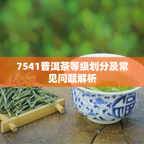 7541普洱茶等级划分及常见问题解析