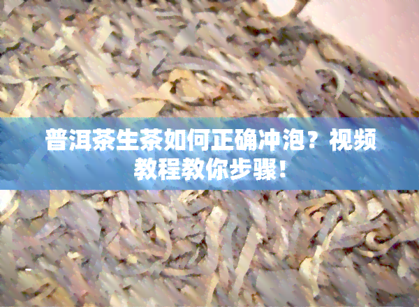 普洱茶生茶如何正确冲泡？视频教程教你步骤！