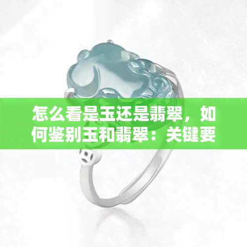 怎么看是玉还是翡翠，如何鉴别玉和翡翠：关键要点解析