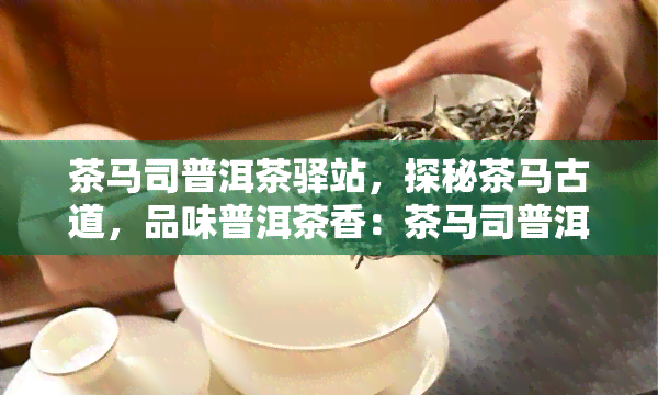 茶马司普洱茶驿站，探秘茶马古道，品味普洱茶香：茶马司普洱茶驿站介绍