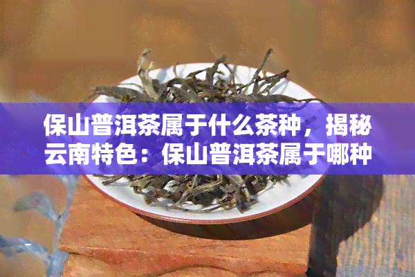 保山普洱茶属于什么茶种，揭秘云南特色：保山普洱茶属于哪种茶种？