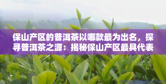 保山产区的普洱茶以哪款最为出名，探寻普洱茶之源：揭秘保山产区更具代表性的茶叶品种