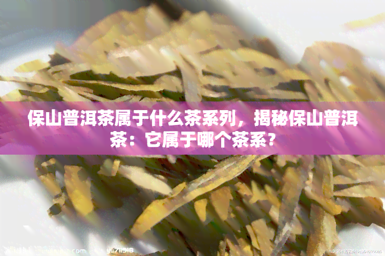 保山普洱茶属于什么茶系列，揭秘保山普洱茶：它属于哪个茶系？