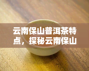 云南保山普洱茶特点，探秘云南保山普洱茶的独特魅力